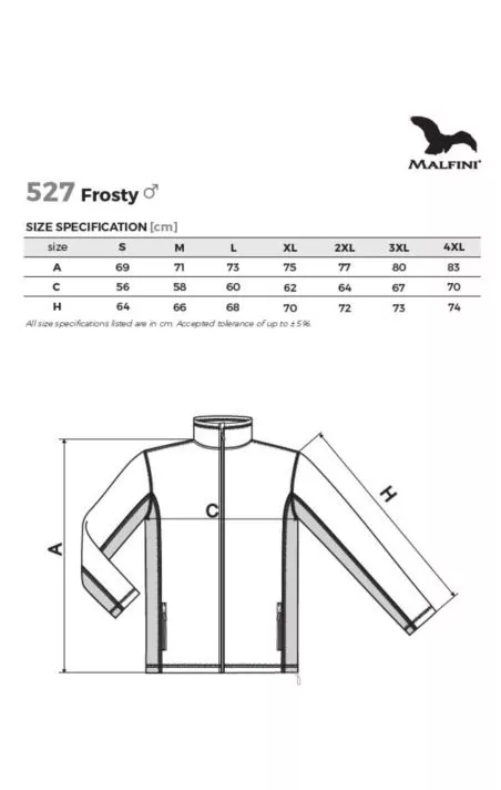 POLAR MĘSKI FROSTY-527