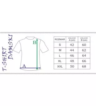 T-SHIRT DAMSKI 2
