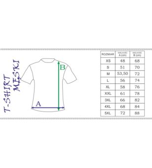 T-SHIRT MĘSKI 2