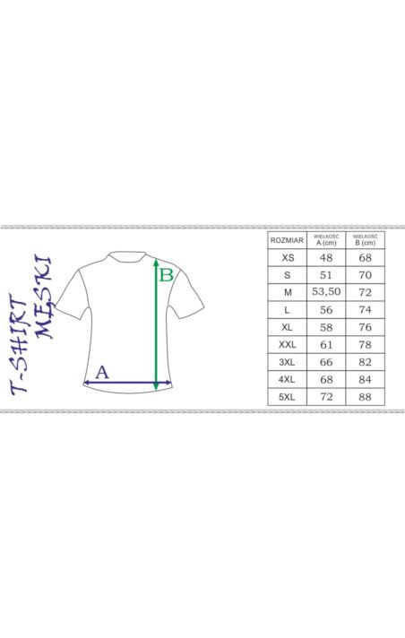 T-SHIRT MĘSKI
